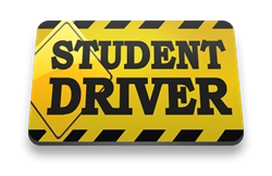 Student Driver Car Magnets